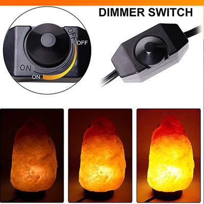 Replacement Lamp With Inline Switch Dimmer Us 2 Prong Ac Usa Power Cord